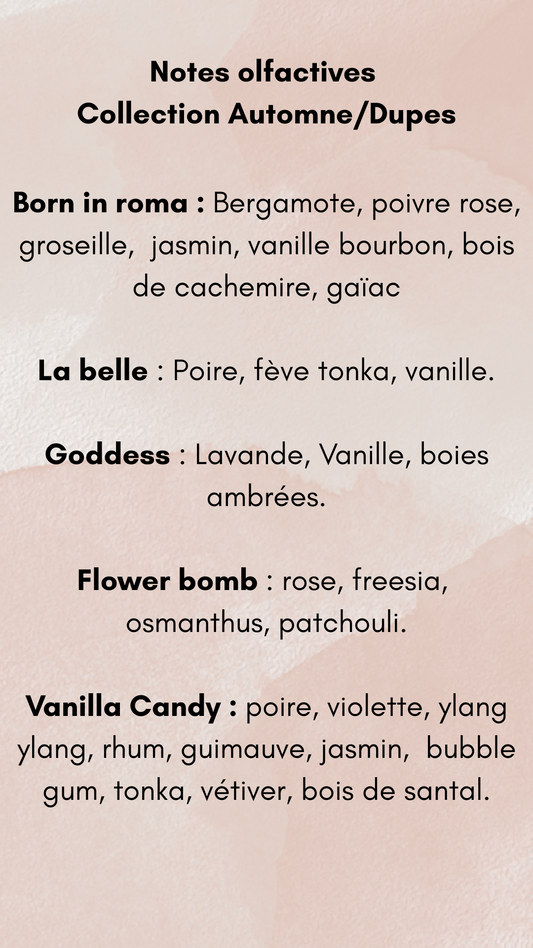 Fondants 15/20grs - DESTOCKAGE -20%