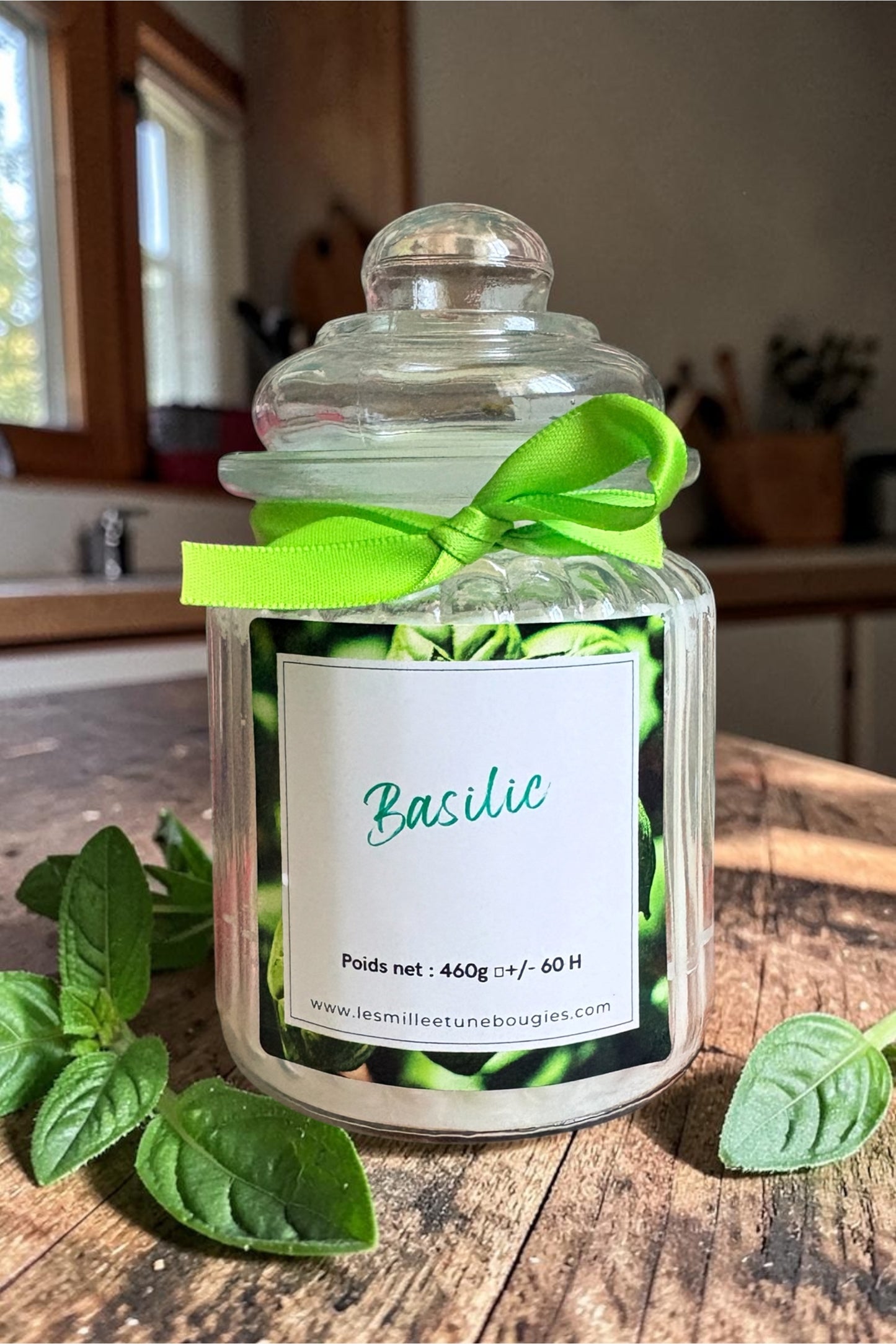 BASILIC