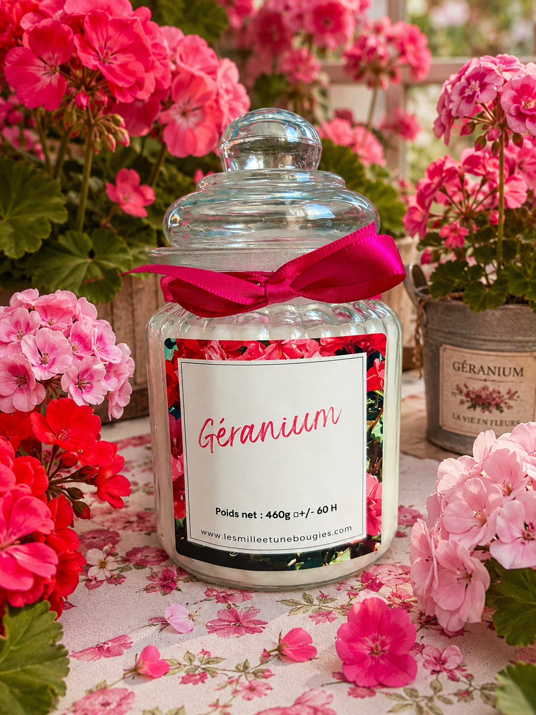 GÉRANIUM (NOUVEAUTÉ)☀️🆕