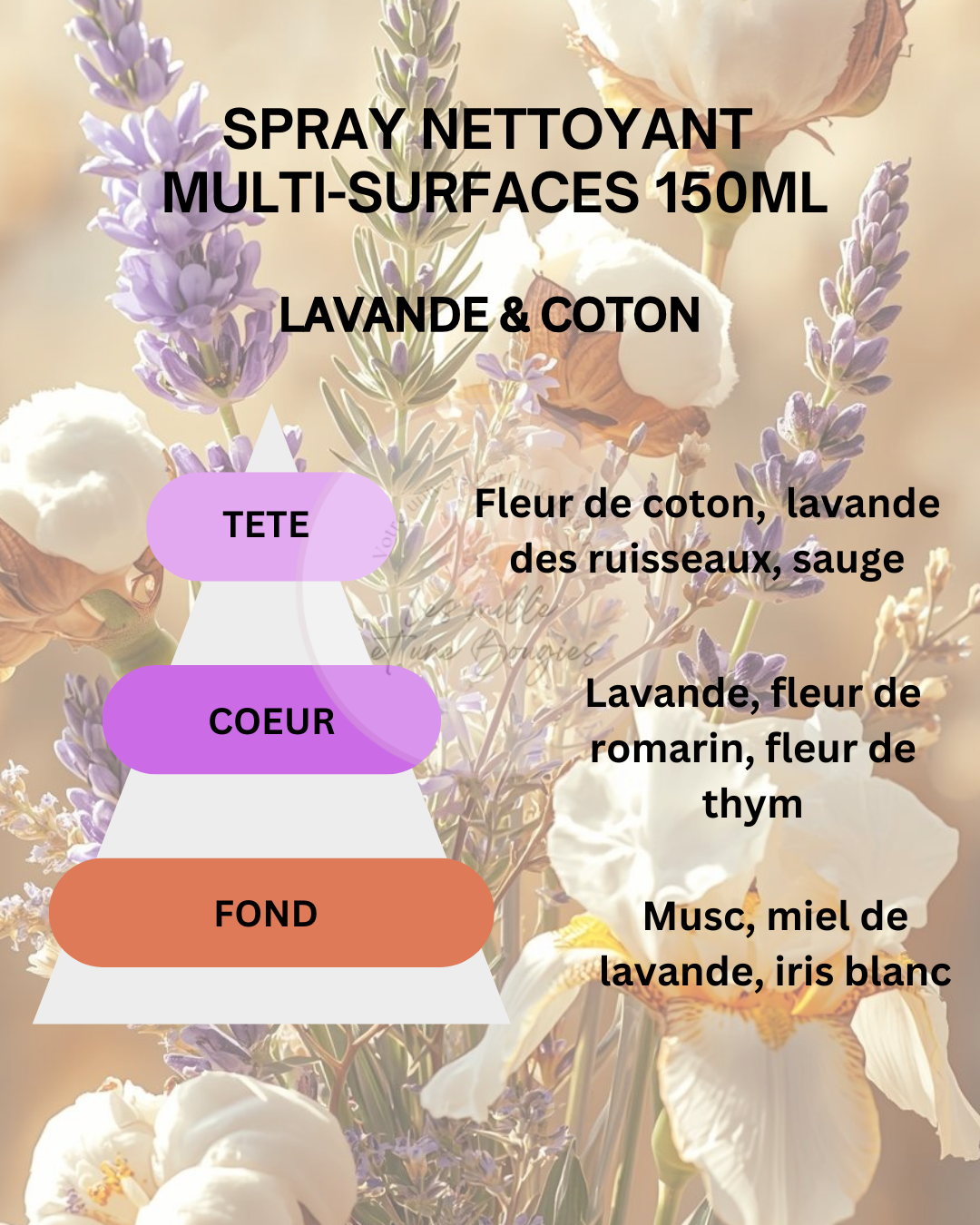 SPRAY MULTI-SURFACES 300ML (NOUVEAU FORMAT & PARFUMS) 🆕