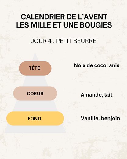 Fondants parfumés 🎄 CALENDRIER DE L'AVENT 2025  + CALENDRIER DE L'APRÈS 🎄 10/15GR