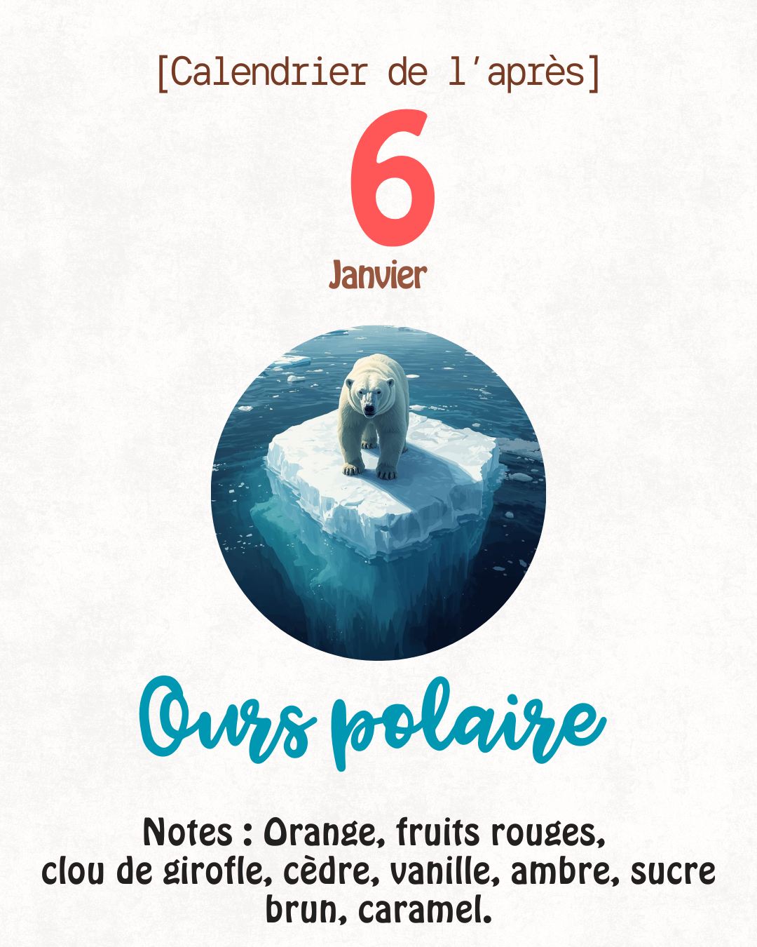 Fondants parfumés 🎄 CALENDRIER DE L'AVENT 2025  + CALENDRIER DE L'APRÈS 🎄 10/15GR