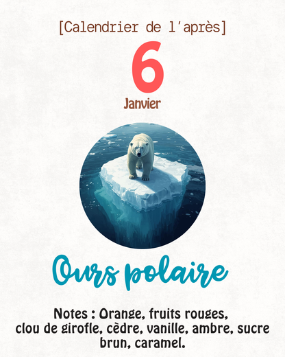 Fondants parfumés 🎄 CALENDRIER DE L'AVENT 2025  + CALENDRIER DE L'APRÈS 🎄 10/15GR