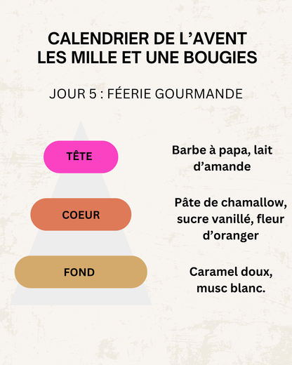 Fondants parfumés 🎄 CALENDRIER DE L'AVENT 2025  + CALENDRIER DE L'APRÈS 🎄 10/15GR