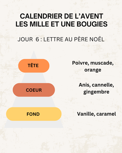 Fondants parfumés 🎄 CALENDRIER DE L'AVENT 2025  + CALENDRIER DE L'APRÈS 🎄 10/15GR