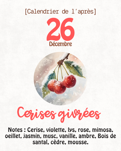 Fondants parfumés 🎄 CALENDRIER DE L'AVENT 2025  + CALENDRIER DE L'APRÈS 🎄 10/15GR