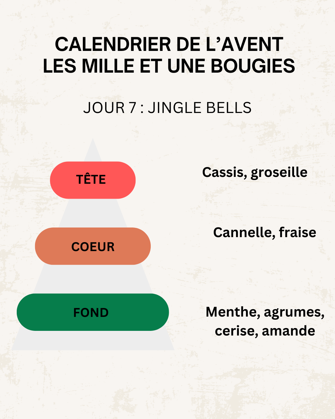 Fondants parfumés 🎄 CALENDRIER DE L'AVENT 2025  + CALENDRIER DE L'APRÈS 🎄 10/15GR