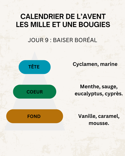 Fondants parfumés 🎄 CALENDRIER DE L'AVENT 2025  + CALENDRIER DE L'APRÈS 🎄 10/15GR
