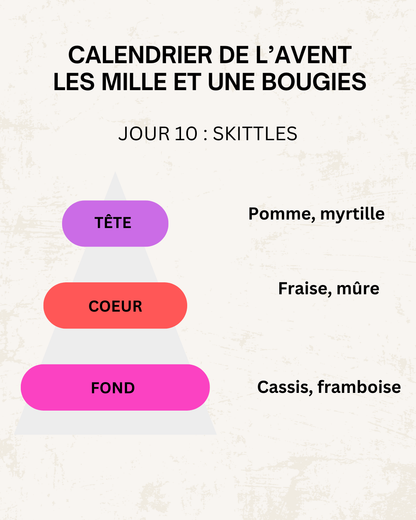 Fondants parfumés 🎄 CALENDRIER DE L'AVENT 2025  + CALENDRIER DE L'APRÈS 🎄 10/15GR
