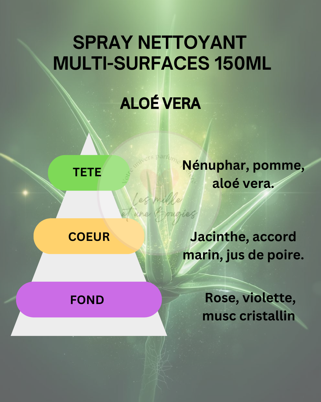 SPRAY MULTI-SURFACES 300ML (NOUVEAU FORMAT & PARFUMS) 🆕