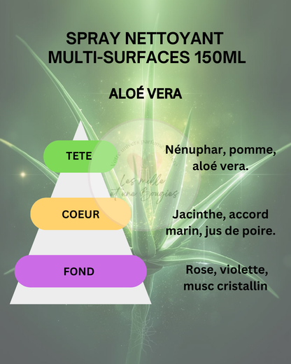 SPRAY MULTI-SURFACES 300ML (NOUVEAU FORMAT & PARFUMS) 🆕