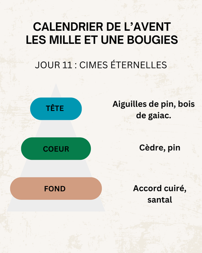 Fondants parfumés 🎄 CALENDRIER DE L'AVENT 2025  + CALENDRIER DE L'APRÈS 🎄 10/15GR