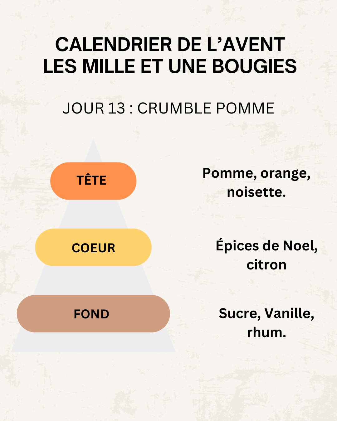 Fondants parfumés 🎄 CALENDRIER DE L'AVENT 2025  + CALENDRIER DE L'APRÈS 🎄 10/15GR