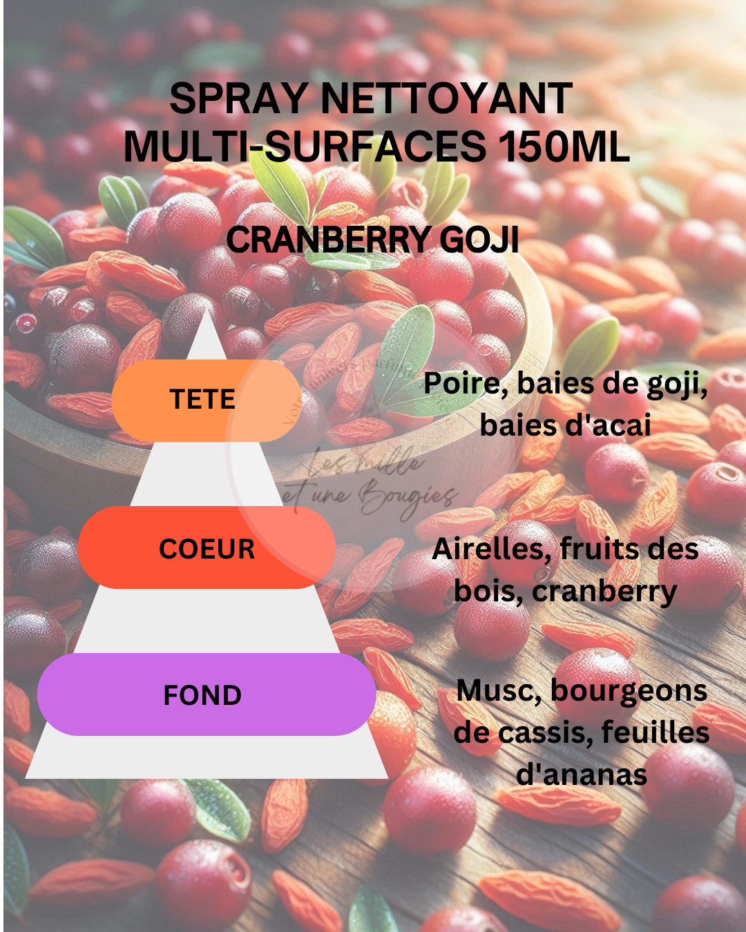 SPRAY MULTI-SURFACES 300ML (NOUVEAU FORMAT & PARFUMS) 🆕