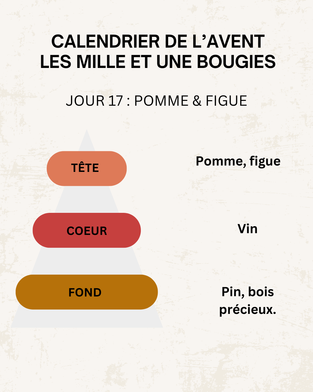 Fondants parfumés 🎄 CALENDRIER DE L'AVENT 2025  + CALENDRIER DE L'APRÈS 🎄 10/15GR