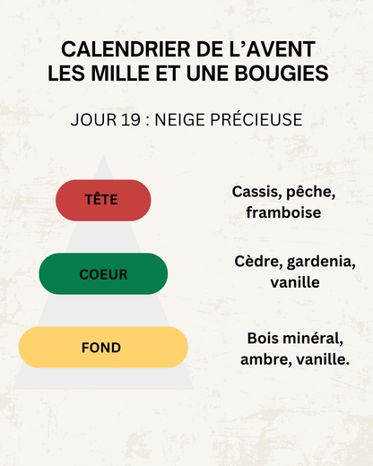 Fondants parfumés 🎄 CALENDRIER DE L'AVENT 2025  + CALENDRIER DE L'APRÈS 🎄 10/15GR