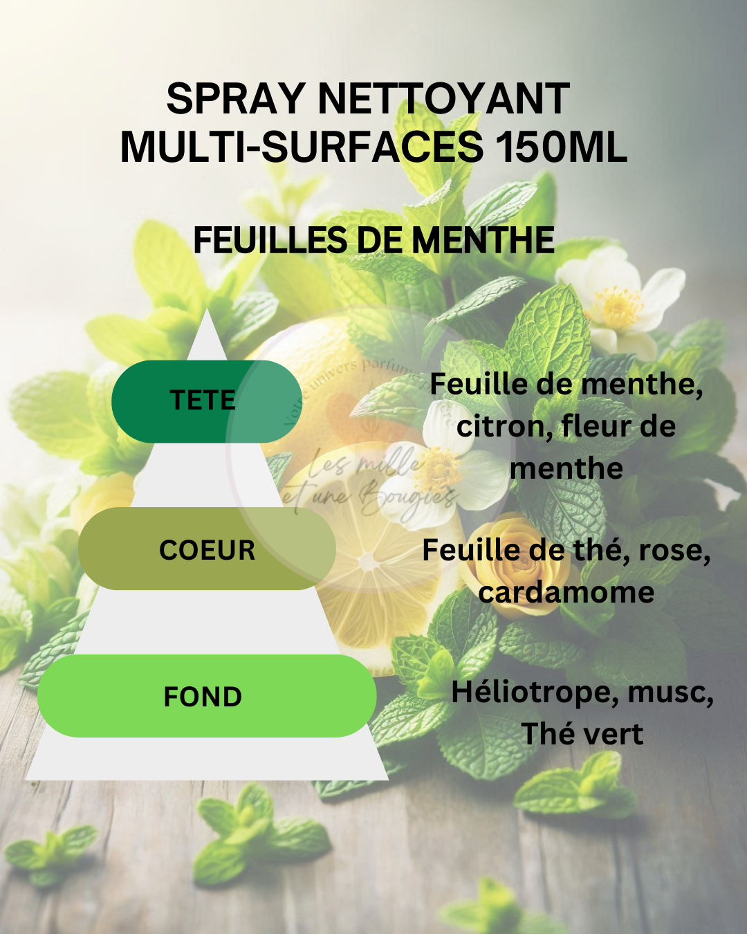 SPRAY MULTI-SURFACES 300ML (NOUVEAU FORMAT & PARFUMS) 🆕