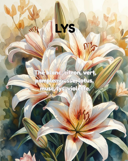 C'est le Printemps  🌸 NOUVELLE COLLECTION FONDANTS