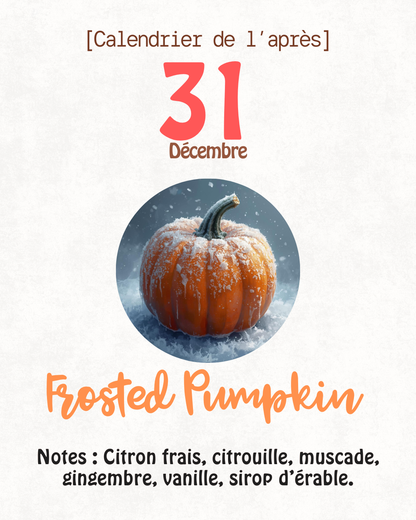 Fondants parfumés 🎄 CALENDRIER DE L'AVENT 2025  + CALENDRIER DE L'APRÈS 🎄 10/15GR