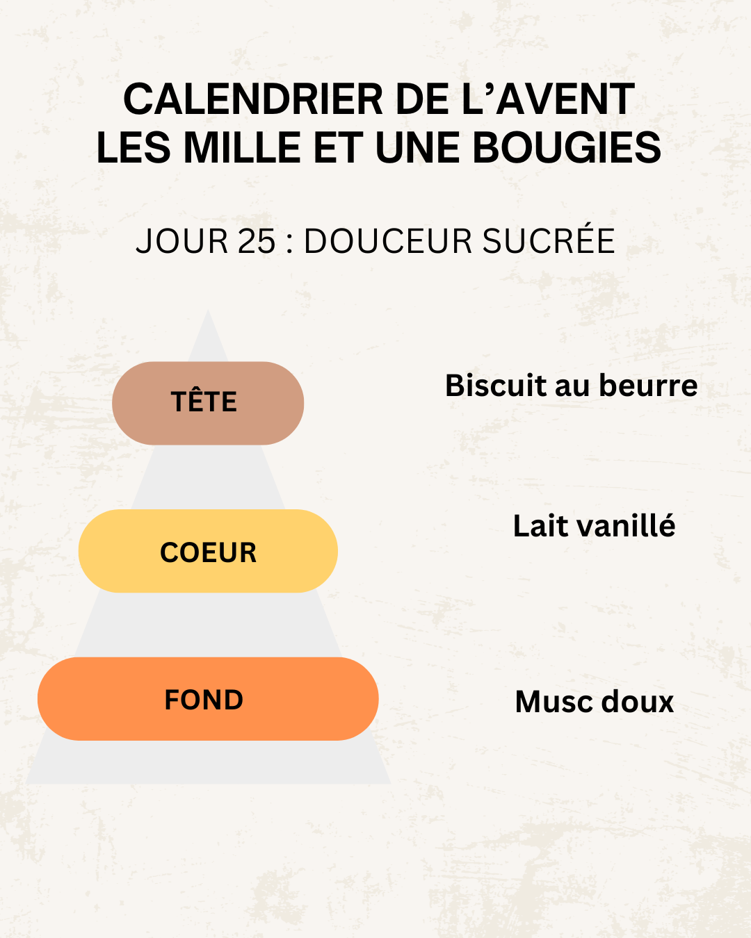 Fondants parfumés 🎄 CALENDRIER DE L'AVENT 2025  + CALENDRIER DE L'APRÈS 🎄 10/15GR