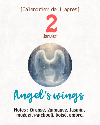 Fondants parfumés 🎄 CALENDRIER DE L'AVENT 2025  + CALENDRIER DE L'APRÈS 🎄 10/15GR