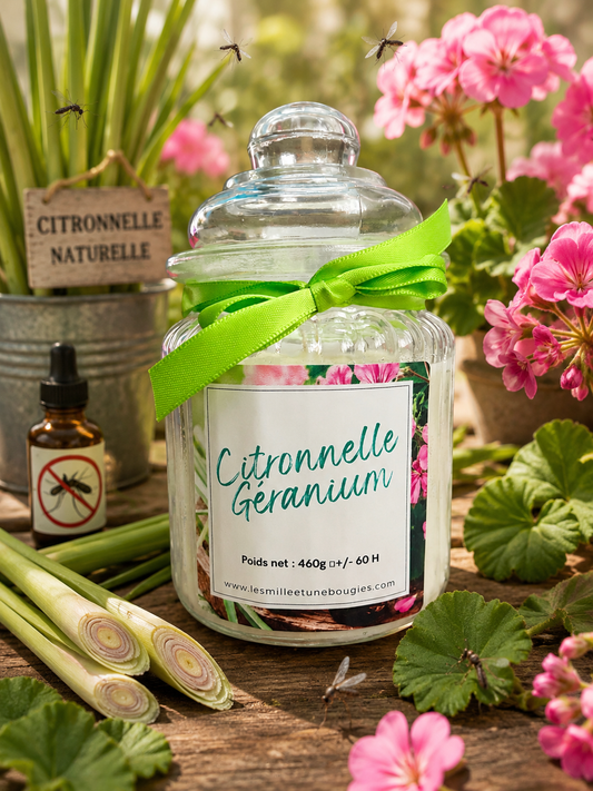 CITRONNELLE GÉRANIUM ☀️🆕