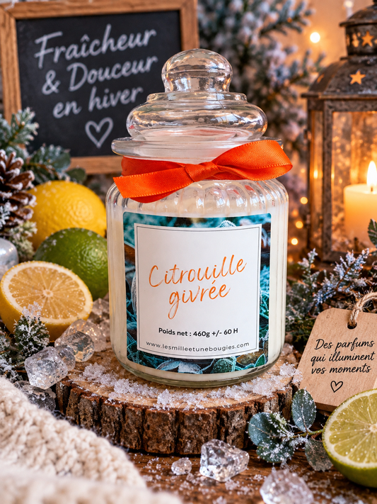 CITROUILLE GIVRÉE (NOUVEAUTÉ) 🍁🆕