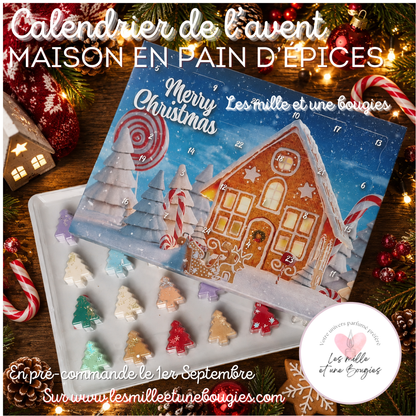 Calendriers de l'avent 100% FONDANTS 2026