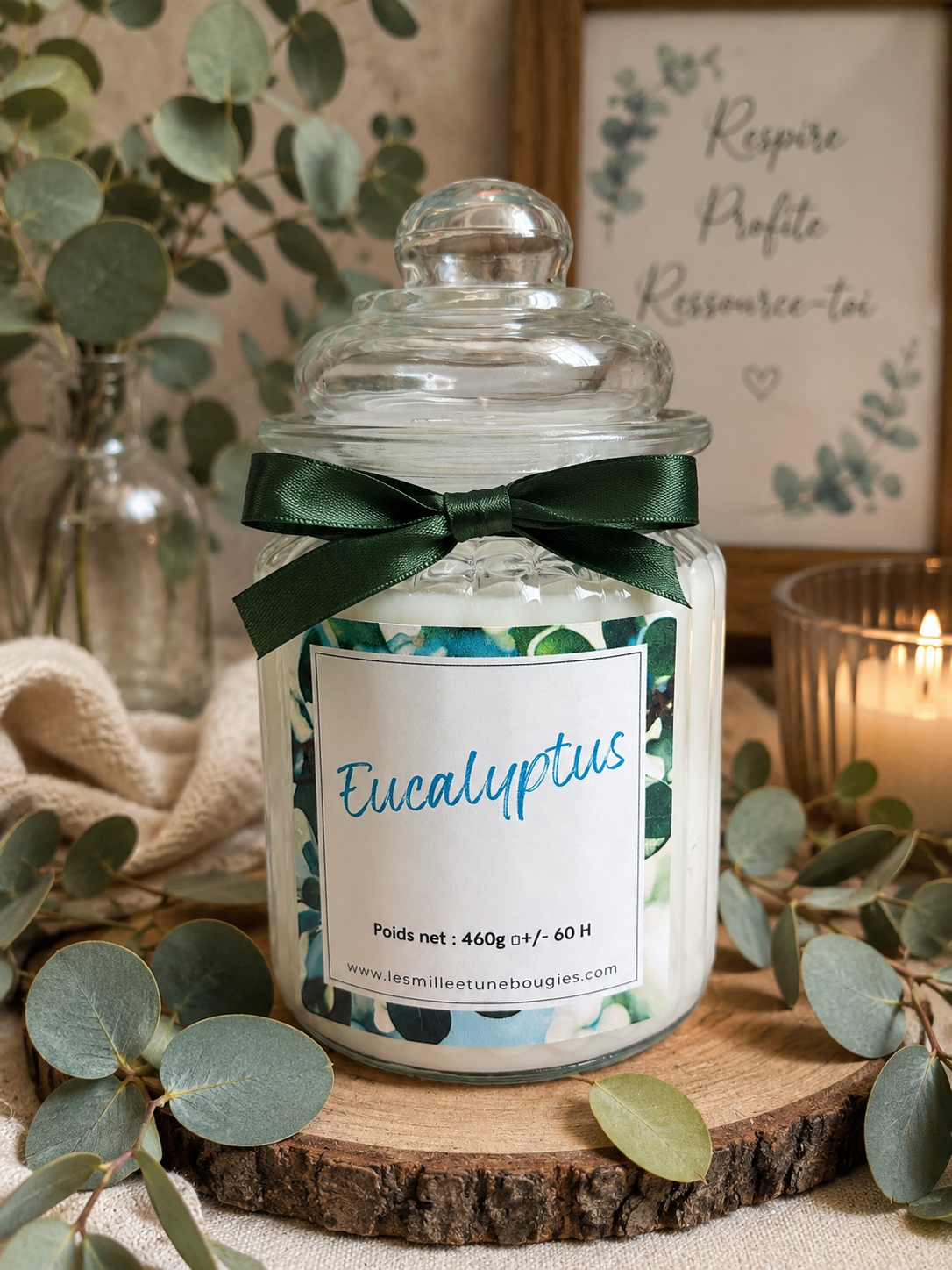 EUCALYPTUS 🆕☀️