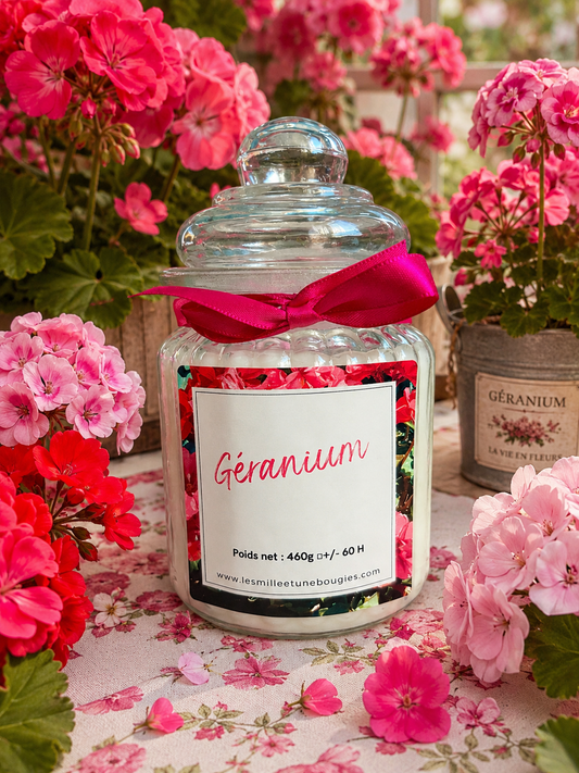 GÉRANIUM (NOUVEAUTÉ)☀️🆕