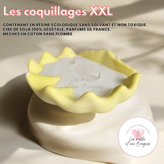 Les Coquillages XXL (Nouveauté)🐚 - Les mille et une Bougies