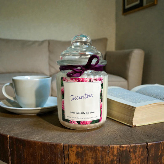 JACINTHE (NOUVEAUTÉ)