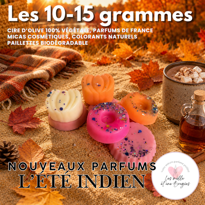 L'été indien - NOUVELLE COLLECTION FONDANTS 🆕☀️🍁