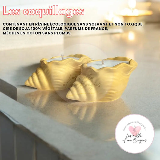 Les petits Coquillages 🐚 (Nouveauté) ☀️ - Les mille et une Bougies