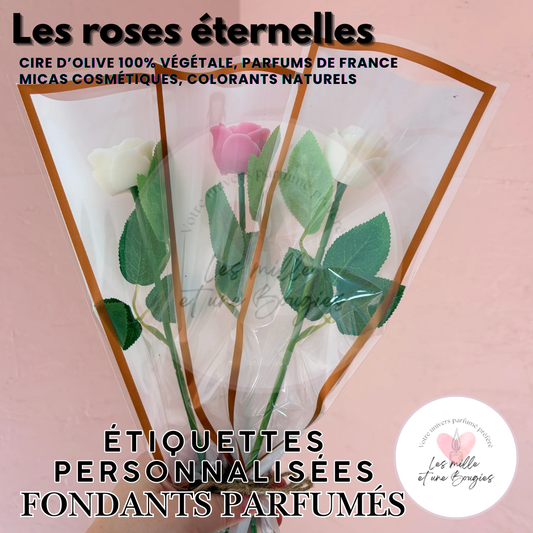 ROSES ÉTERNELLES - FONDANTS PARFUMÉS