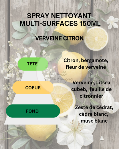 SPRAY MULTI-SURFACES 300ML (NOUVEAU FORMAT & PARFUMS) 🆕