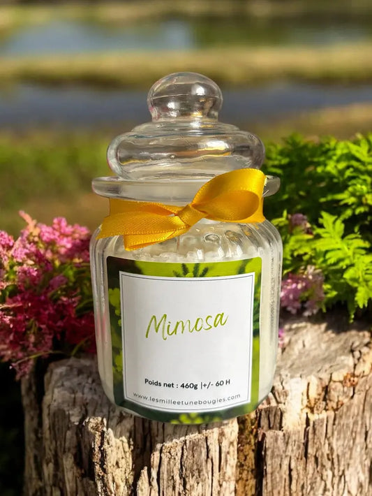 MIMOSA - Les mille et une Bougies