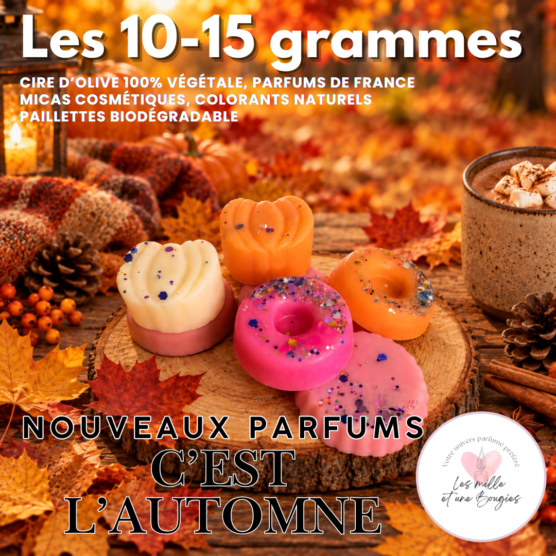 C'est l'automne - NOUVELLE COLLECTION FONDANTS 🆕🍁