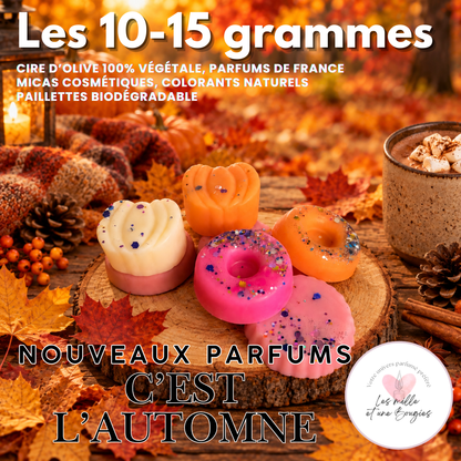 C'est l'automne - NOUVELLE COLLECTION FONDANTS 🆕🍁