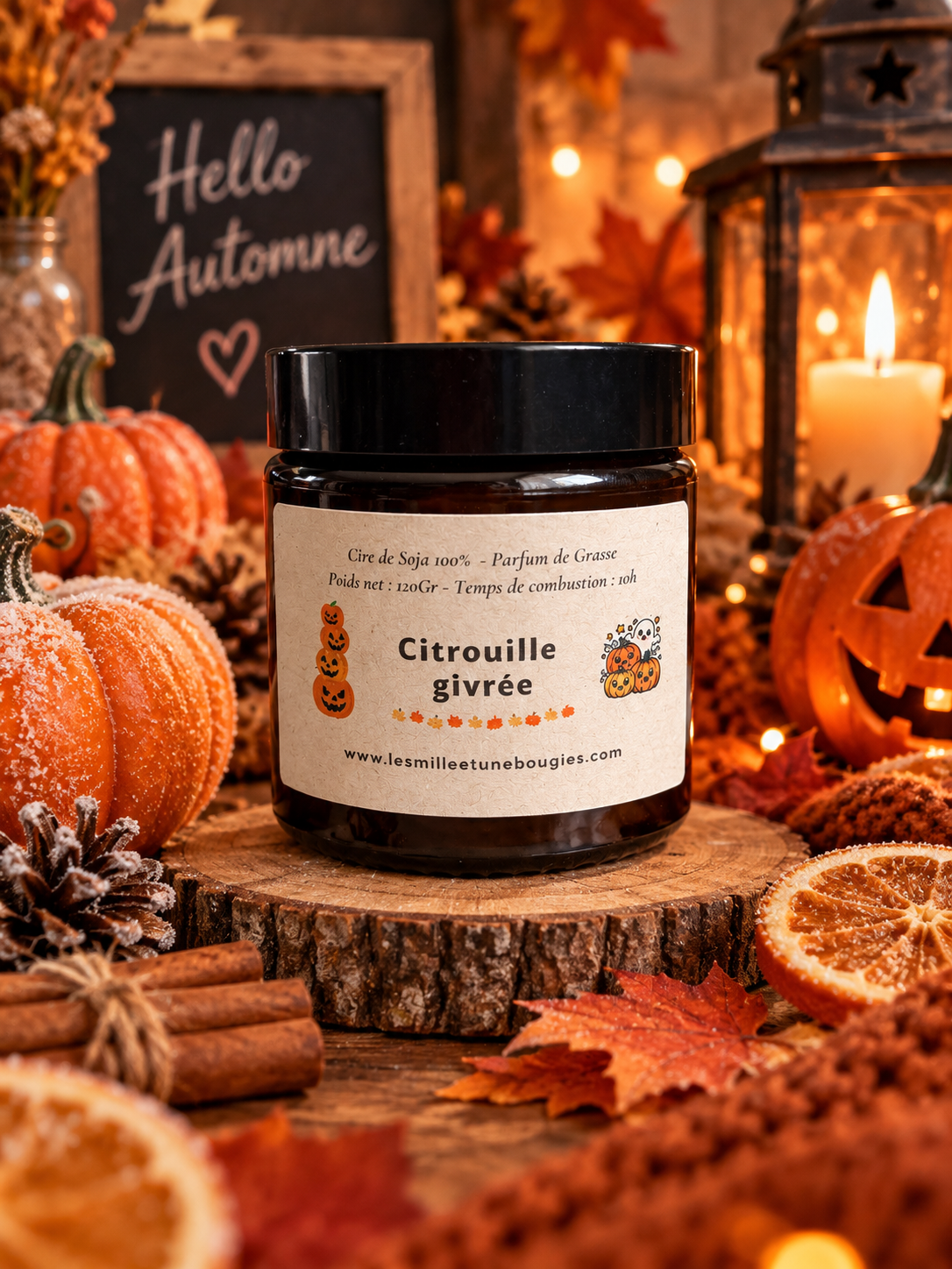 CITROUILLE GIVRÉE 🍁🆕