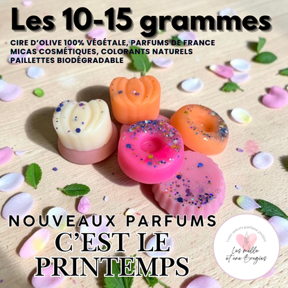 C'est le Printemps  🌸 NOUVELLE COLLECTION FONDANTS