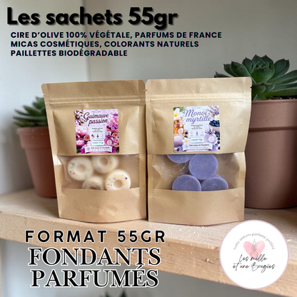 LES SACHETS DE FONDANTS - FORMAT 55GR 🆕☀️